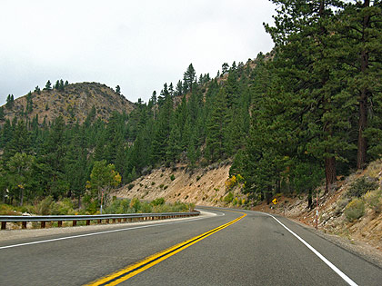 Highway 395 passing though a section of the Inyo National Forest