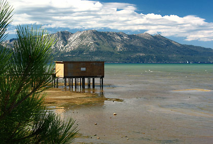 Reagan in Lake Tahoe with the Sierra Nevada mountains in the background