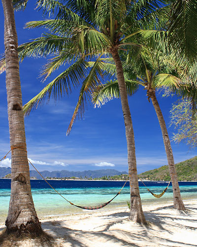 hammocks under coconut trees, Banana Island