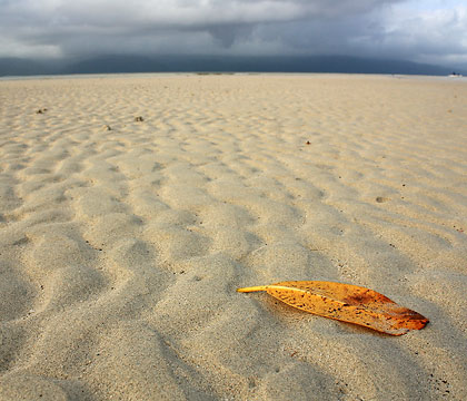 Yang-In sandbar at low tide