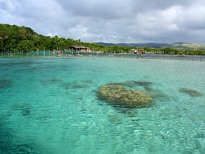 Juag Lagoon marine sanctuary, Matnog, Sorsogon